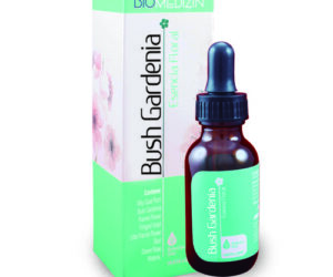 Bush Gardenia - Vitalidad Femenina
