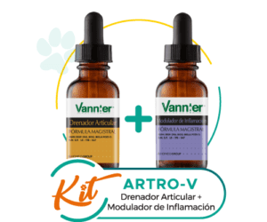 Kit Artro - V