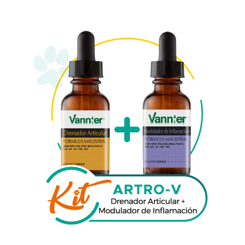 Kit Artro - V