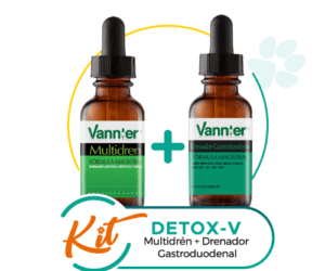 Kit Detox-V