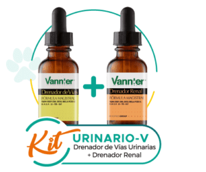Kit Urinario-V
