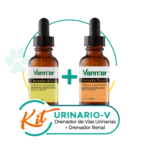 Kit Urinario-V