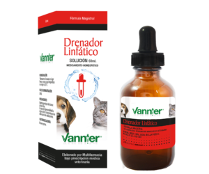 Drenador Linfático (P)