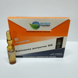 echinacea purourea d6