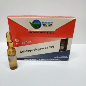 ren solidago virgaurea d4